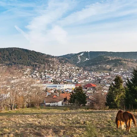 Apartment Les Balcons De La Haie Griselle 4/pers