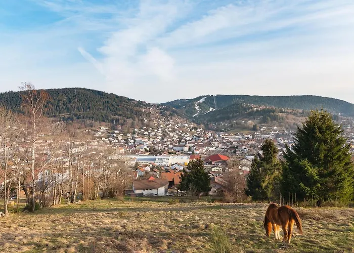 Appartement Les Balcons De La Haie Griselle 4/pers